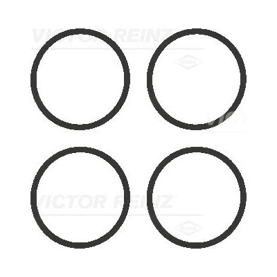 Sada těsnění, koleno sacího potrubí VICTOR REINZ 11-77542-01 (117754201) – Zboží Mobilmania
