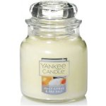 Yankee Candle Juicy Citrus&Sea Salt 104g – Zbozi.Blesk.cz