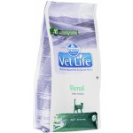 Vet Life Cat Renal 2 kg – Zboží Dáma
