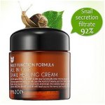 MIZON ALL IN ONE SNAIL REPAIR CREAM 75 ml – Hledejceny.cz