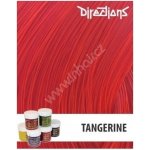 La Riché Directions 29 Tangerine 89 ml – Sleviste.cz