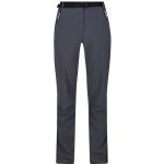 Regatta Dámské turistické kalhoty Xert III RWJ228 šedá – Zbozi.Blesk.cz