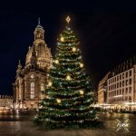 DECOLED LED světelná sada na vánoční stromy vysoké 21-23 m teplá bílá s Flash dekory EFD02W – Hledejceny.cz