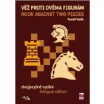 Kniha VĚŽ PROTI DVĚMA FIGURÁM I – Zboží Dáma