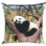 Dadka Fotopolštář Panda 40x40 – Zboží Dáma