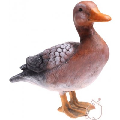 Kachna – Zboží Dáma