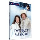 Film Dvanáct měsíčků DVD