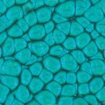 Pebeo Fantasy efektová barva Prisme 45 ml Turquoise – Hledejceny.cz