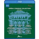 Roussillon,francois: Opera Comique Collection Vol. 1 - Le Postillon De BD – Hledejceny.cz