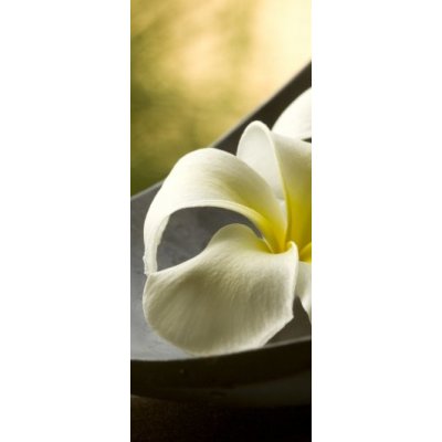 WEBLUX 14907943 Samolepka na dveře fólie special spa flowers speciální lázeské květiny rozměry 90 x 220 cm – Zboží Mobilmania