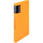 Karton P+P Opaline Dvoukroužkový pořadač A4 hřbet 2 cm oranžový – Zboží Živě