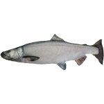 Gaby polštář ryba Losos stříbrný 90 cm – Zboží Dáma