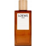 Loewe Solo toaletní voda pánská 100 ml – Hledejceny.cz