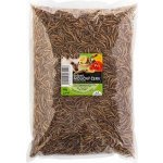 UGF Sušený moučný červ 0,5 kg – Zboží Mobilmania