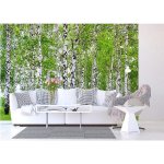 AG design FTS-1304 Papírová fototapeta Břízový les rozměry 360 x 254 cm – Hledejceny.cz