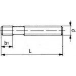 šroub M20x160 BEZ PÚ 8.8 závrtný DIN 6379 – Sleviste.cz