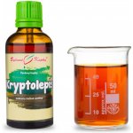 Bylinné kapky Kryptolepis tinktura 50 ml – Hledejceny.cz
