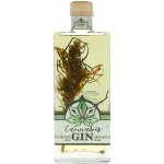 Euphoria Cannabis Gin 40% 0,2 l (holá láhev) – Zboží Dáma Euphoria Cannabis Gin 40% 0,2 l (holá láhev) – Zboží Dáma