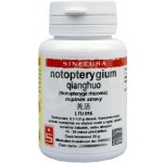 Pragon Notopterygium Qianghuo extrakt 20 g – Hledejceny.cz