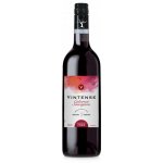 Vintense Cabernet Sauvignon 0% 0,75 l (holá láhev) – Sleviste.cz