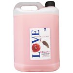 Amadeus Love Intensive tekuté mýdlo 5 l – Sleviste.cz