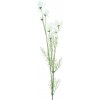 Květina Krásenka - Cosmos perlová krémová V93 cm (956260)