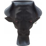 Tortuga Diego – Zboží Dáma