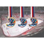 Akrylátová medaile Hokej Zlatá – Sleviste.cz