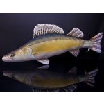 Gaby polštář ryba Candát obecný giant 105 cm – Zboží Dáma