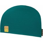 Ortovox 140 Cool Beanie zelená – Zboží Mobilmania