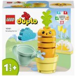 LEGO® DUPLO® 10981 Pěstování mrkve – Zboží Živě