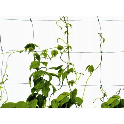 Pergola z plast Plantina, popínavá mříž, 150 cm – Hledejceny.cz