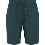Crivit pánské teplákové kraťasy tmavě zelená – Hledejceny.cz