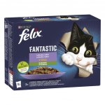 Felix Fantastic hovězí s mrkví kuře s rajčaty losos s cuketou pstruh se zelenými fazolkami v želé 12 x 85 g – Sleviste.cz
