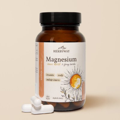 Herbyway Magnesium Ranní hořčík 60 kapslí – Hledejceny.cz