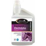 Horse Master Equisport Electrolyte 1 l – Hledejceny.cz