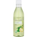 Oriflame šampon pro mastné vlasy s Kopřivami a citrónem Love Nature 500 ml