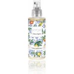 RYOR Citrus Spirit tělový suchý olej sprej 100 ml – Zboží Dáma