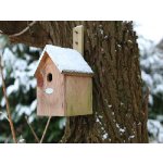 Esschert Design Budka "Best for birds" pro Sýkorku modřinku 18 x 32 cm dřevo, přírodní – Hledejceny.cz