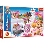 Trefl Paw Patrol Tlapková patrola Skye v akci 16368 100 dílků – Zbozi.Blesk.cz