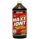 XXtreme Maxx Iont 1000 ml – Hledejceny.cz