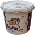 Orling Gelapony Arthro 0,9 kg – Hledejceny.cz