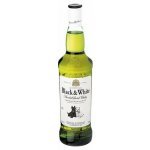Black & White 40% 1 l (holá láhev) – Sleviste.cz