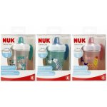 Nuk hrníček na učení Evolution Trainer Cup růžová 230 ml – Zboží Dáma