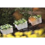 Prosperplast truhlík balkonový CROWN 39x28x20 cm – Zboží Dáma