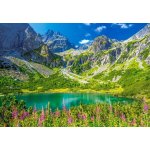 Castorland Zelené pleso Tatry Slovensko 1000 dílků – Zboží Mobilmania