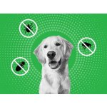 Frontline Combo Spot-On Dog M 10-20 kg 3 x 1,34 ml – HobbyKompas.cz
