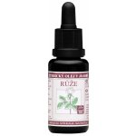 Leros pro těhotné ženy 20 x 2 g – Zbozi.Blesk.cz