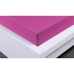 Xpose Jersey prostěradlo Exclusive nachové 180x200 – Sleviste.cz