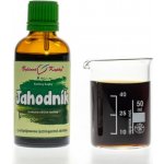 Bylinné kapky Jahodník obecný list tinktura 50 ml – Hledejceny.cz